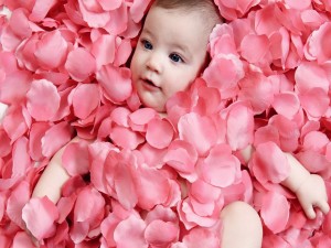 Bebé entre pétalos de rosa
