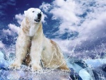 Oso polar en el hielo